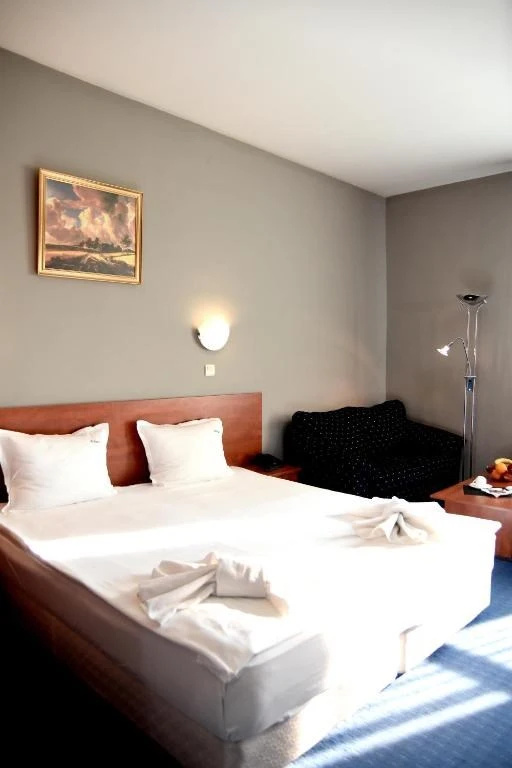 Sveta Sofia Hotel - Chambres