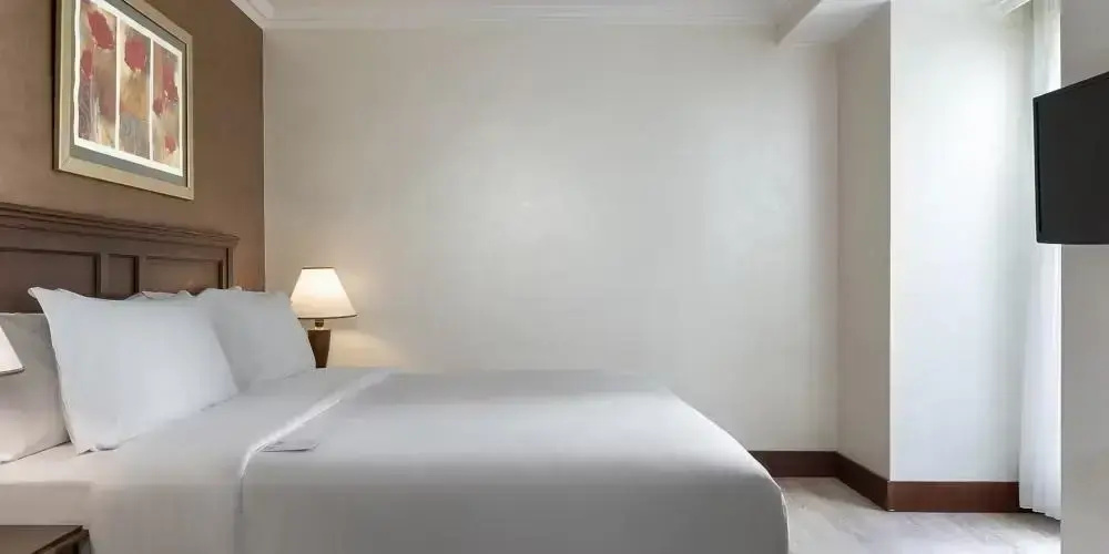 Deluxe Double Suite (full double bed)