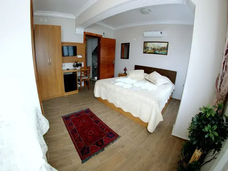 Deluxe Double room (full double bed)