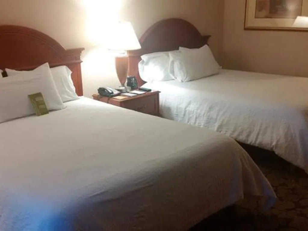 Hilton Garden Inn Toronto/Markham - Chambres