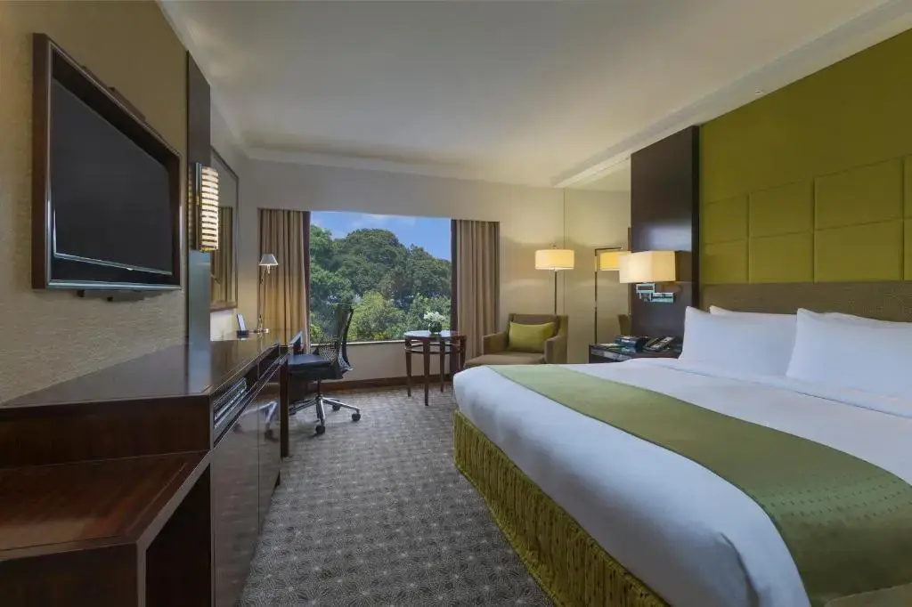 Holiday Inn Singapore Orchard City Centre by IHG - Général