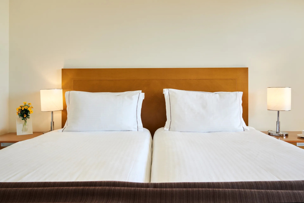 Standard Double room (twin beds)