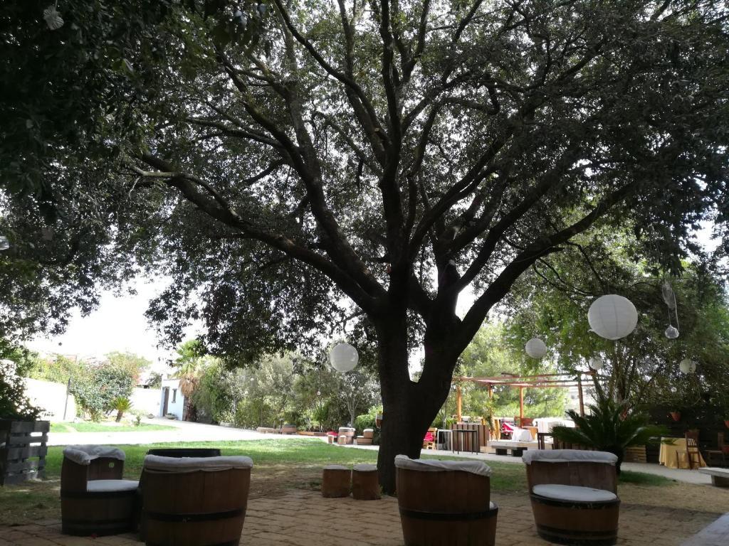 Image 14