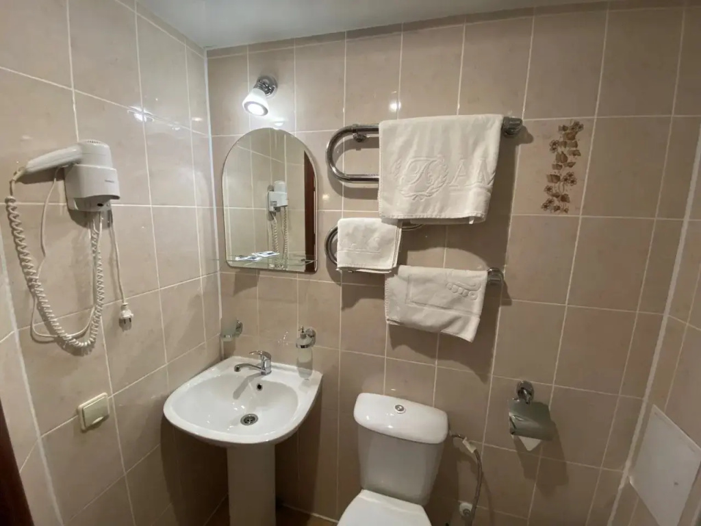 Amaks Prem'er "Bobrujsk" Hotel - Chambres