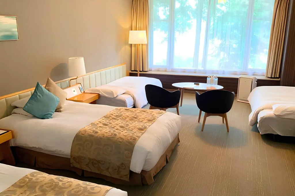 Superior Annex Double room (twin beds)