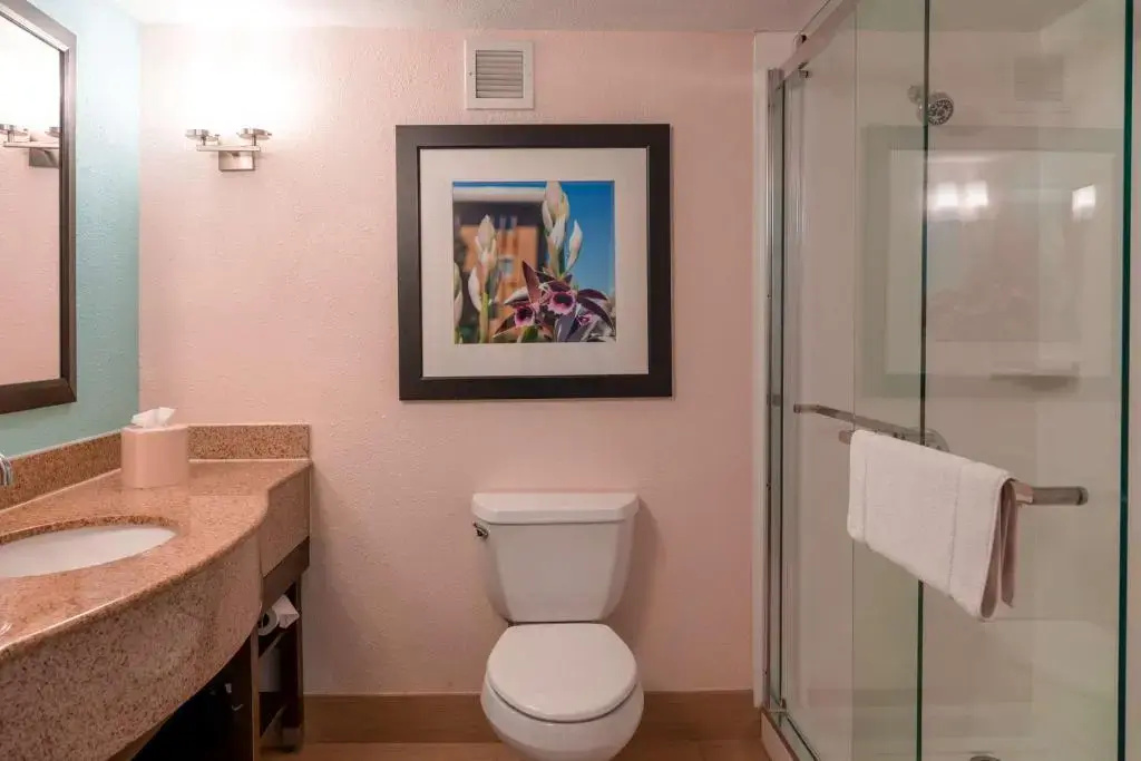 Hilton Garden Inn Orlando East/UCF Area - Chambres