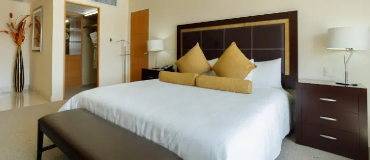 Presidential Double Suite (full double bed)
