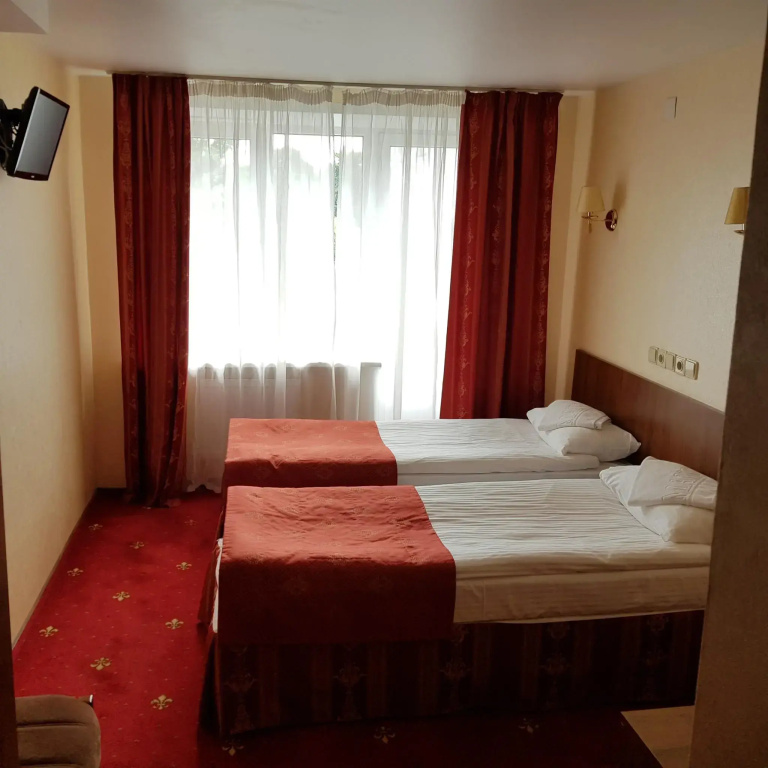 Standard Double room with city view (twin beds)