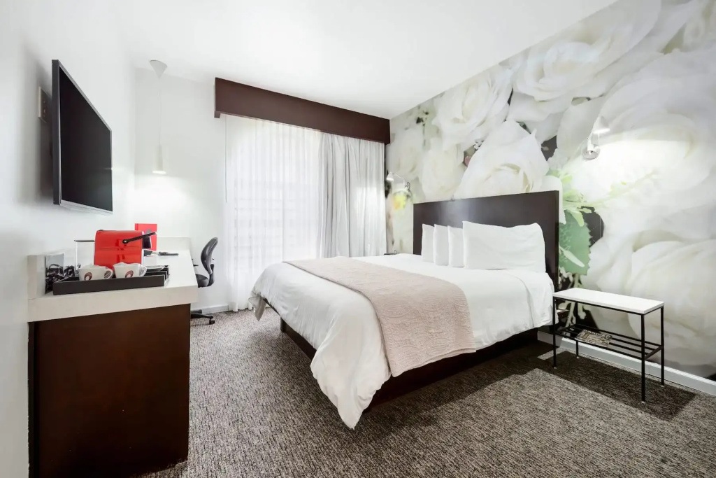The O Hotel, Trademark Collection by Wyndham - Chambres