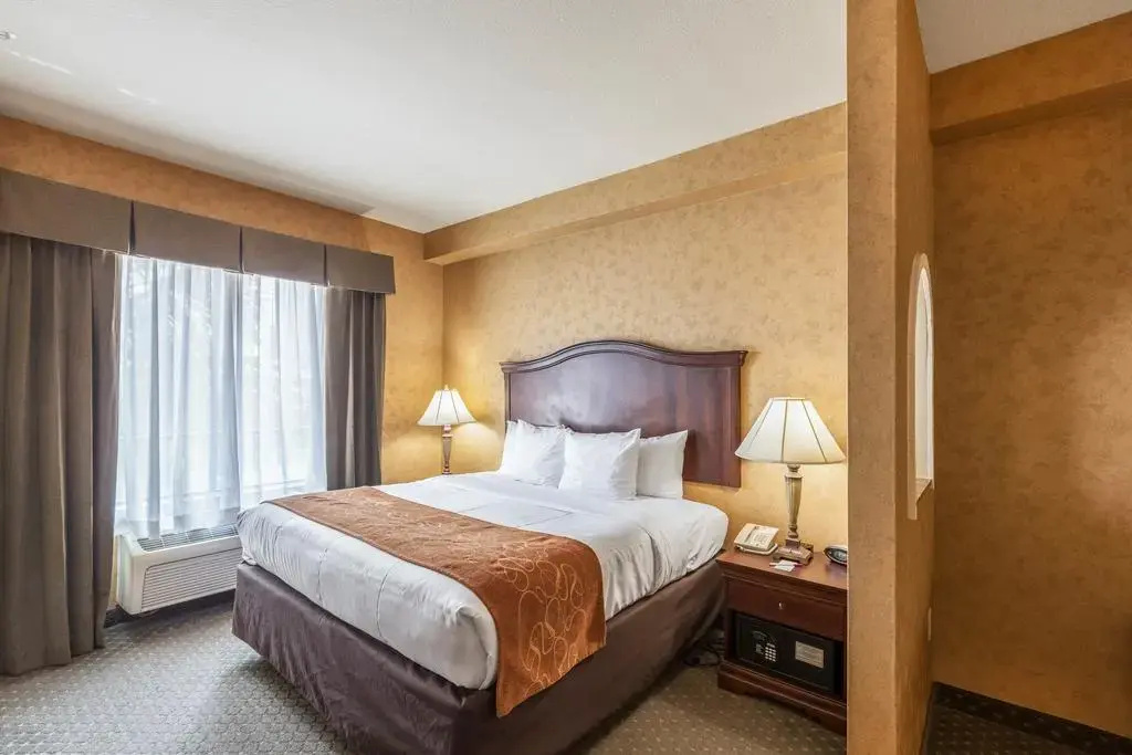 Comfort Suites Alamo - Riverwalk - Chambres