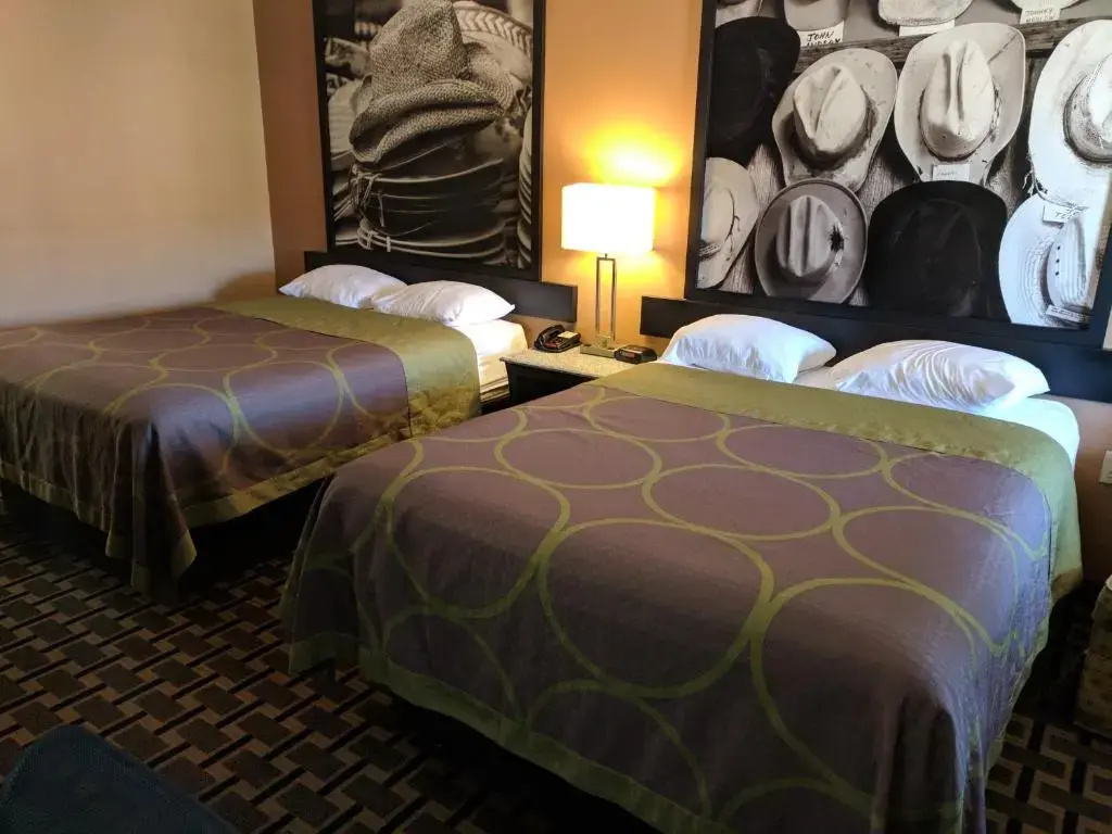 Platinum Inn & Suites Willowbrook Houston - Chambres