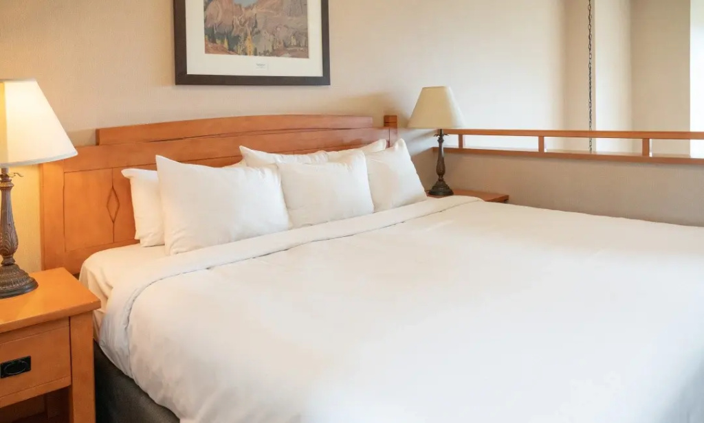 Premier Double Suite (full double bed)