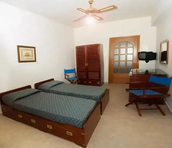 Standard Retro Double room (full double bed)