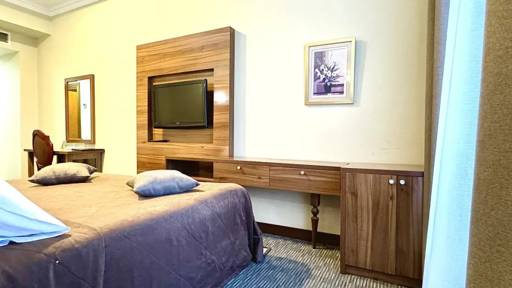 Двухместный номер Standard двуспальная кровать в Grand Eurasia Hotel