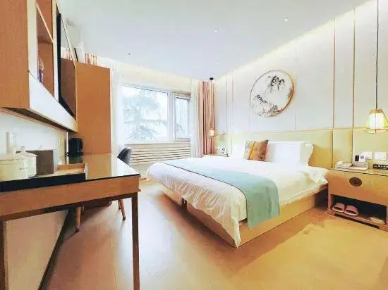 Premier Smart Double room (full double bed)