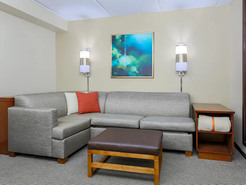 Hyatt Place Dallas/Grapevine - Chambres