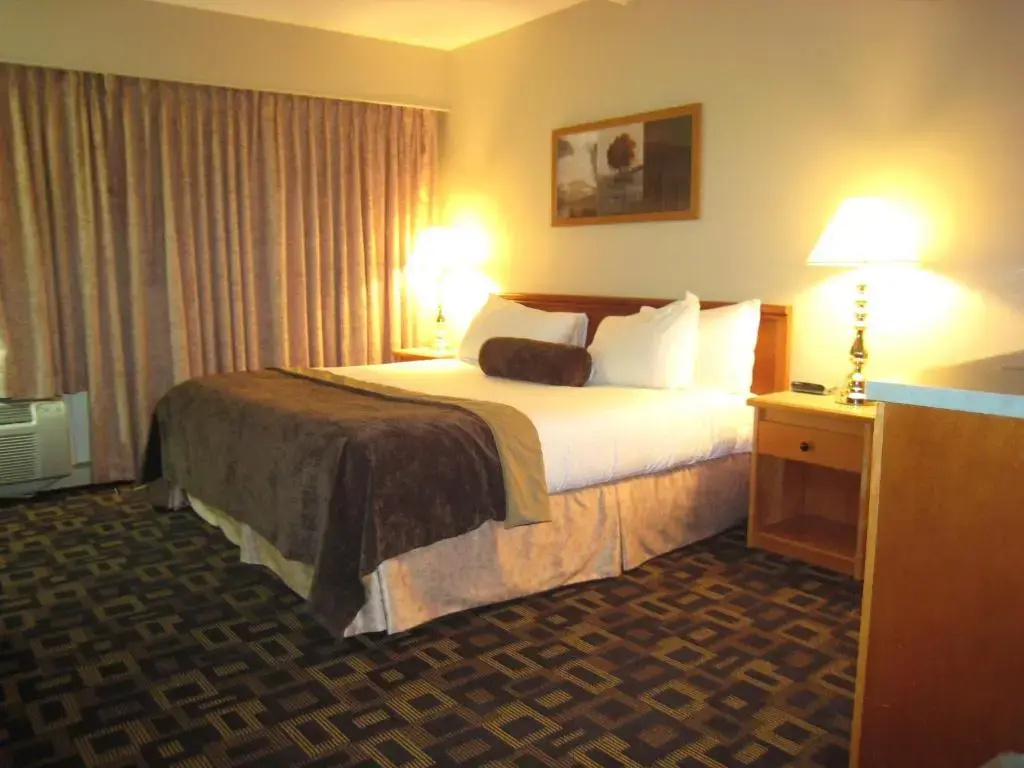 1 Bedroom Theme Double Suite (full double bed)