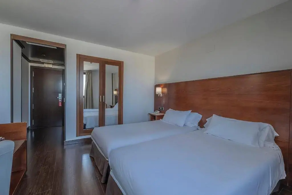 Standard Double room (twin beds)