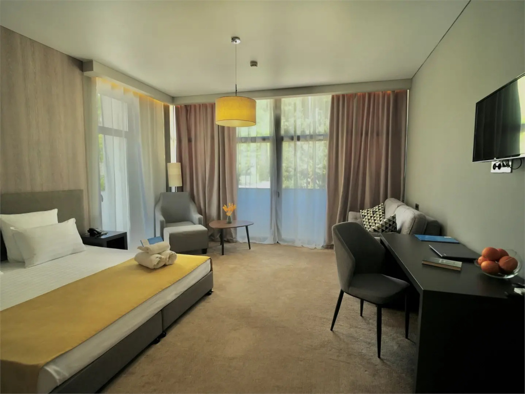 Номер Делюкс Плюс с видом на достопримечательность в Abaash Hotel Afon