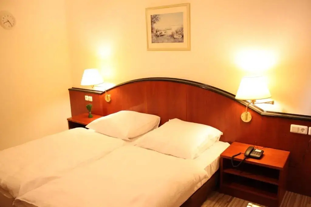 Standard Double room (full double bed)