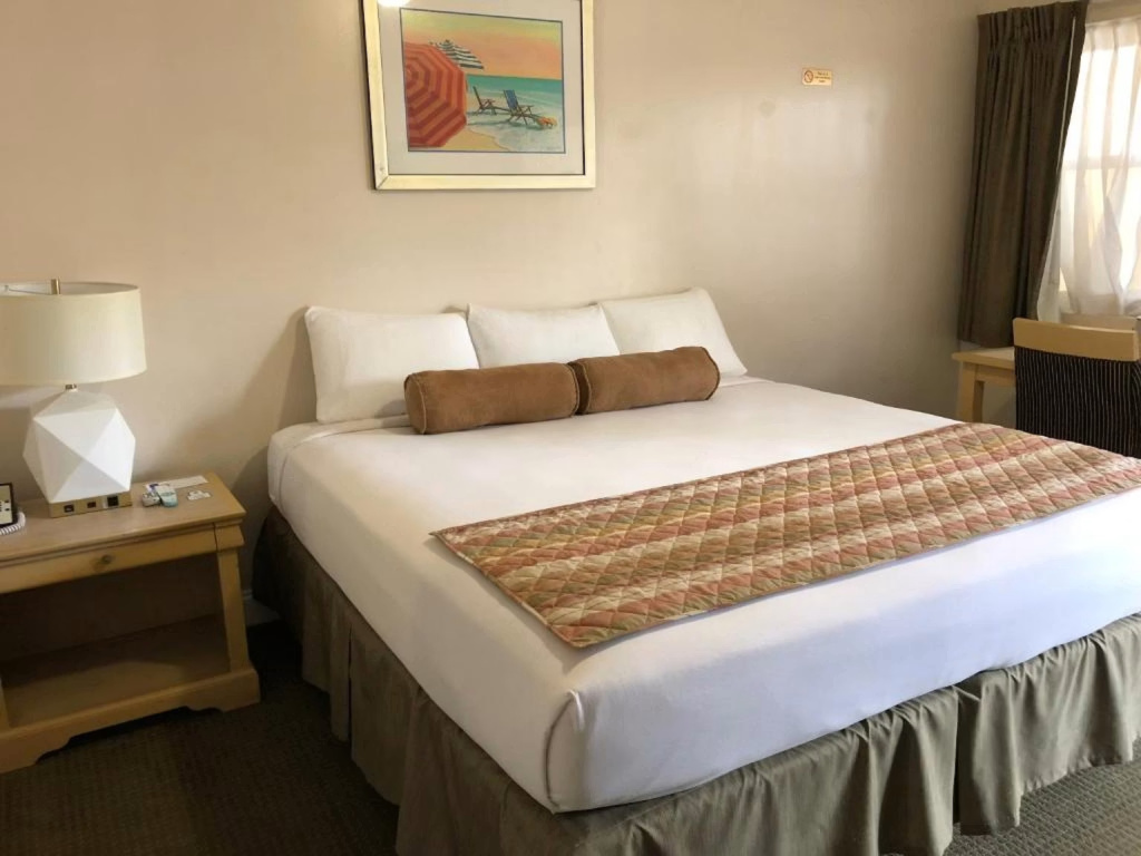 Standard Accessible Double room (full double bed)
