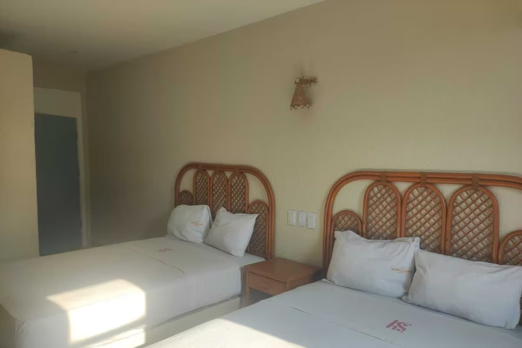 Deluxe Double room (twin beds)