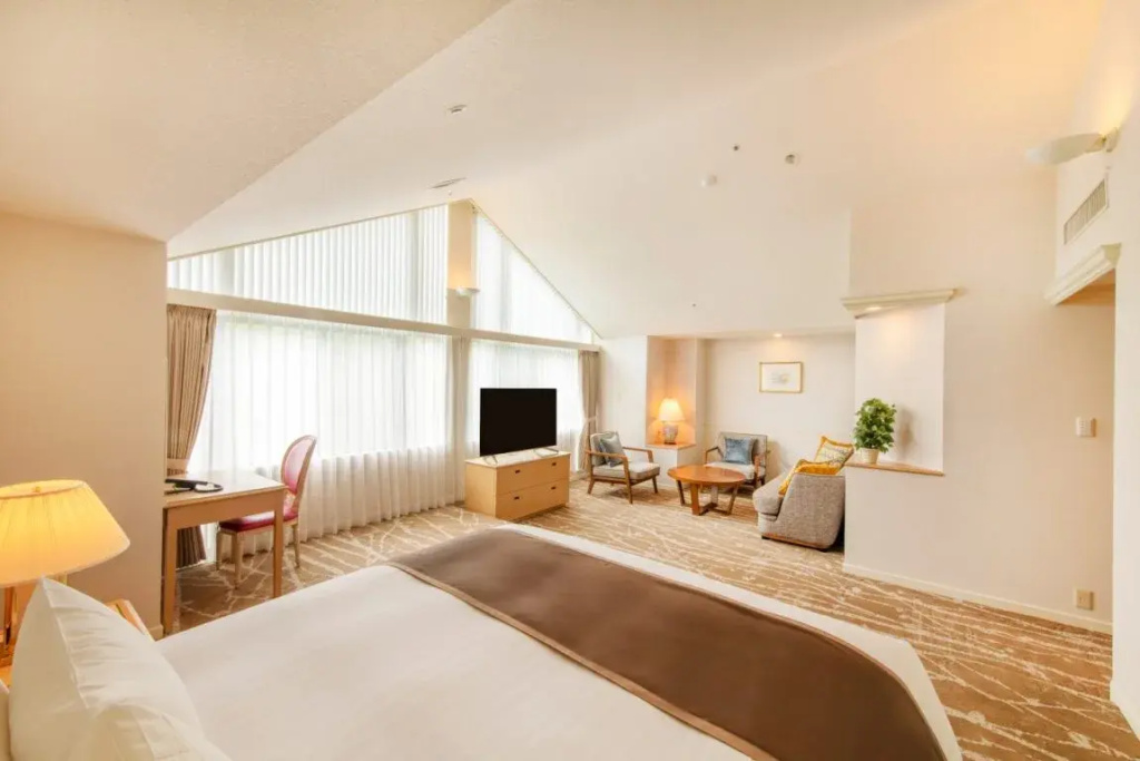 Double Junior Suite (full double bed)