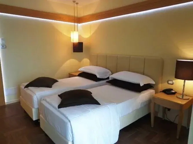 Standard Double room (twin beds)