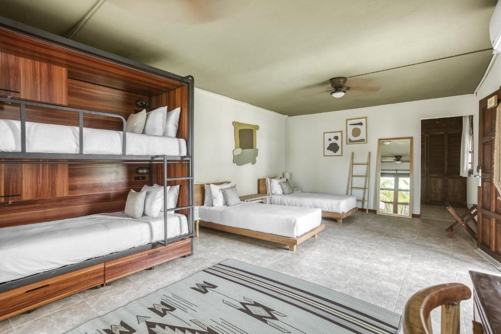 Family Double room (full double bed)