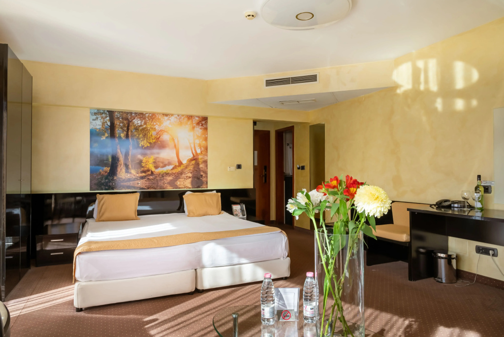 Europe Sofia Hotel - Chambres