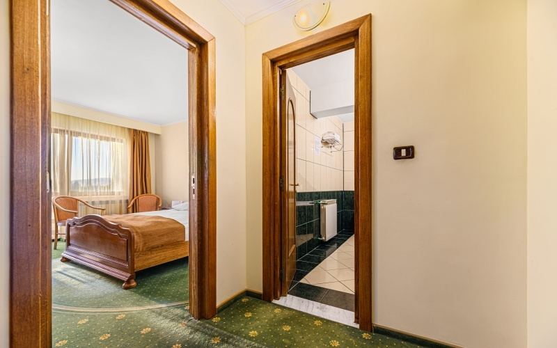 Hotel Casa Viorel - Chambres