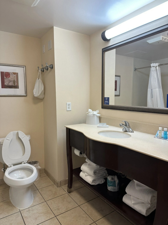 Hampton Inn Virginia Beach-Oceanfront South - Chambres