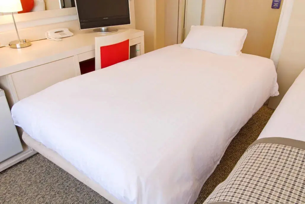 Rembrandt Style Tokyo Nishikasai Hotel - Chambres