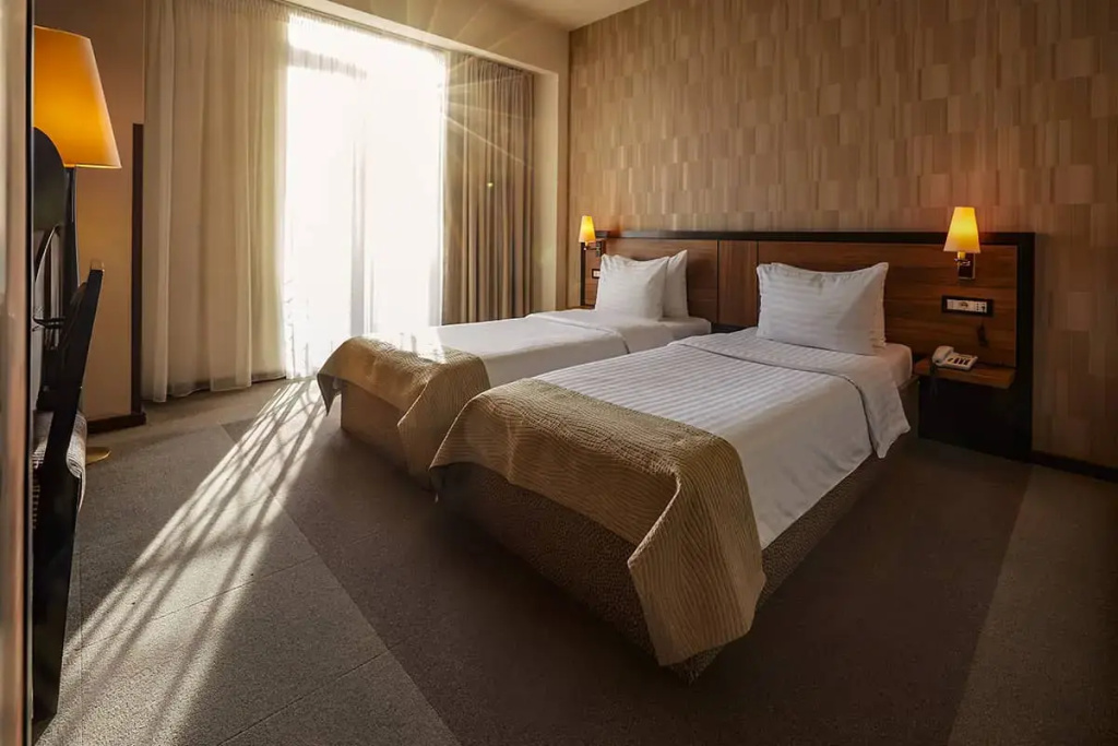 Standard Double room (twin beds)