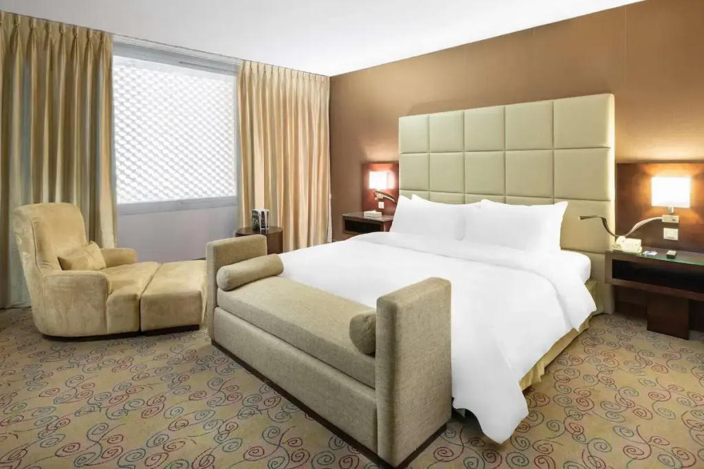Lounge Access Double Suite (full double bed)