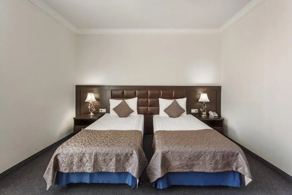 Standard Double room (twin beds)