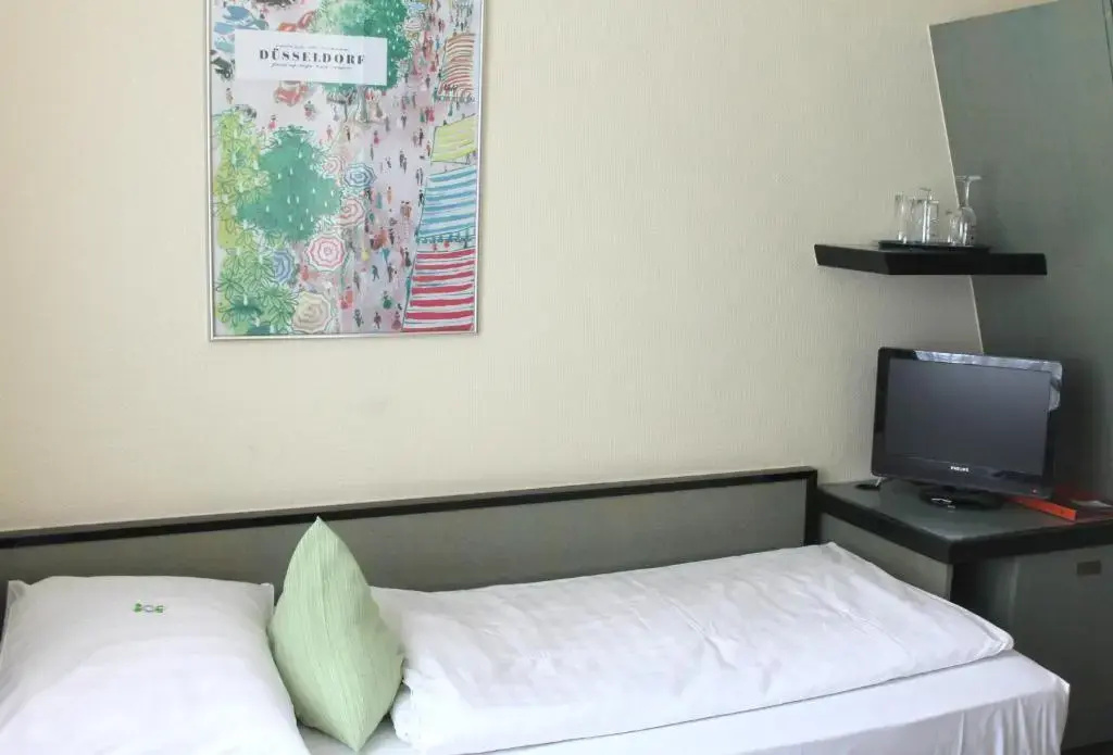Standard Single room (single bed)