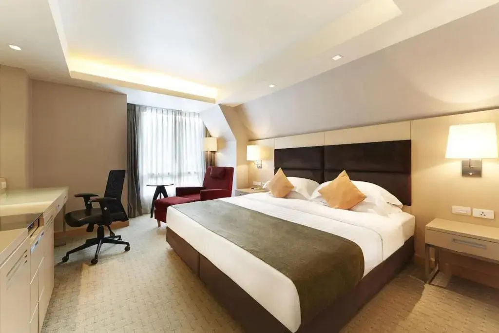 Deluxe Double room with city view (full double bed)
