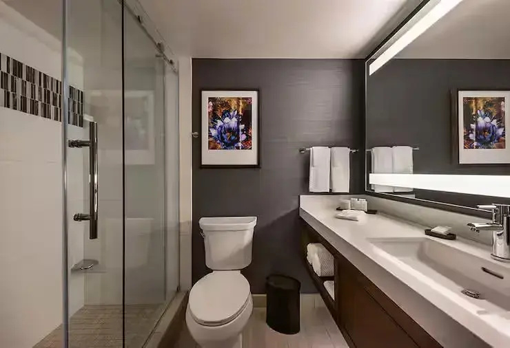 Embassy Suites by Hilton Scottsdale Resort - Chambres