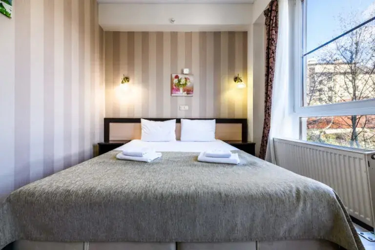 Double Studio with mountain view (full double bed)