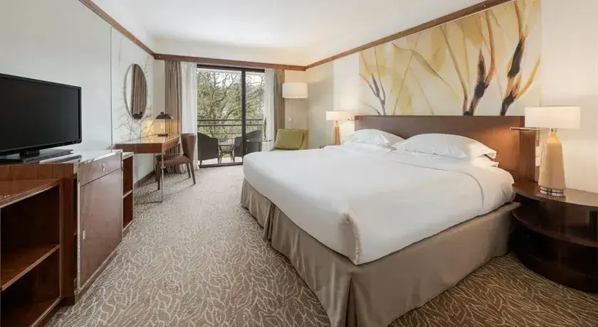 Terra Nostra Garden Hotel - Chambres