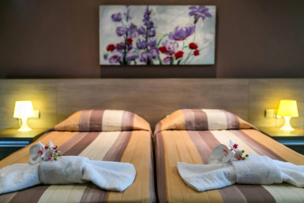 Superior Twin Studio (twin beds)