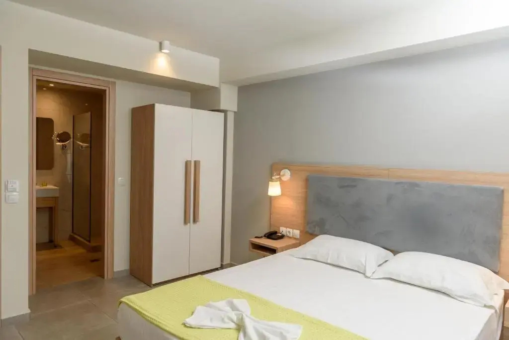 Deluxe Double room (twin beds)