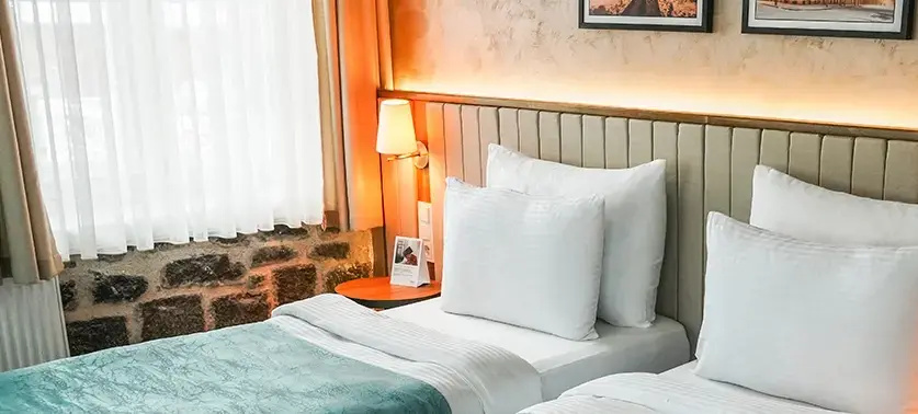 Superior Double room (twin beds)