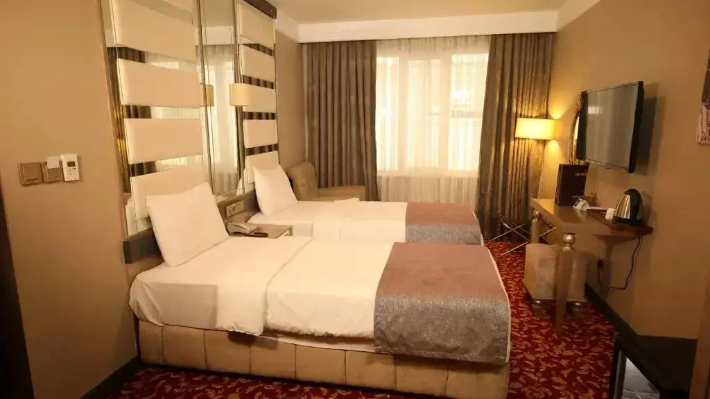 Economy Double room (twin beds)