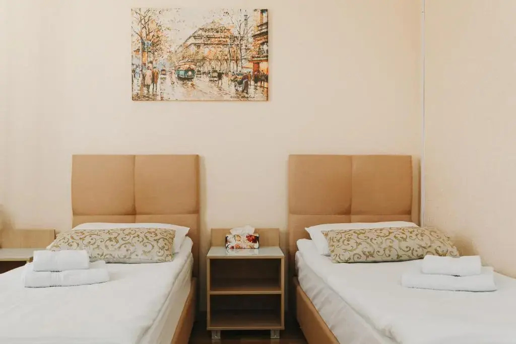 Standard Double room (twin beds)