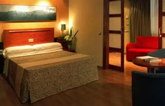 Double Junior Suite (full double bed)