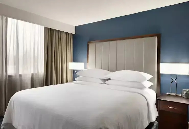 1 Bedroom Mobility Accessible Double room (full double bed)