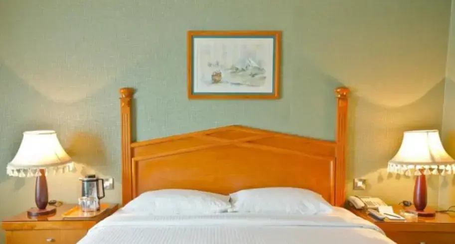 Deluxe Double room (full double bed)