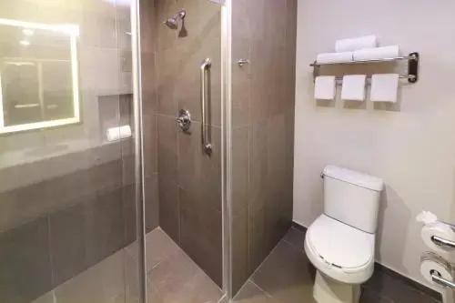 Holiday Inn San Luis Potosi Quijote by IHG - Chambres